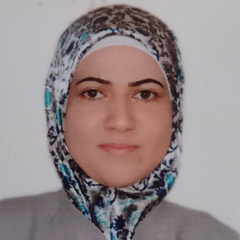 Researcher Image