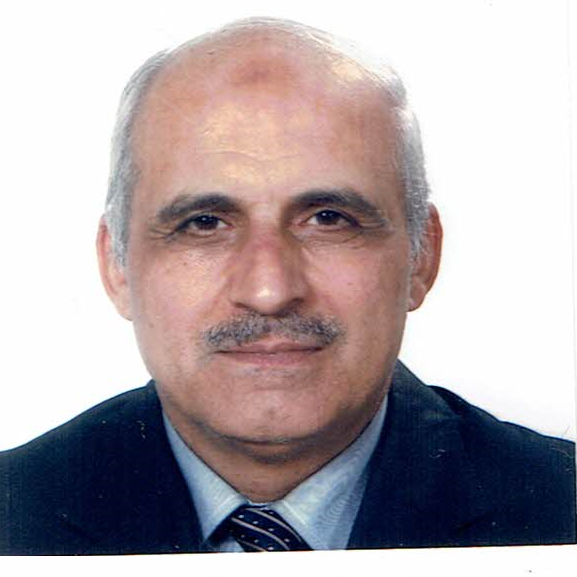 Researcher Image