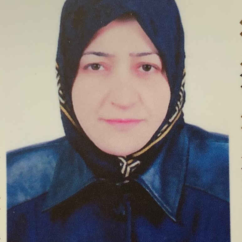 Researcher Image