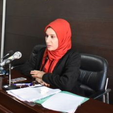 Researcher Image