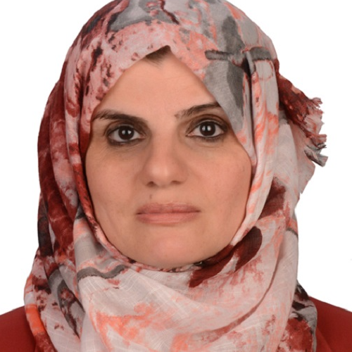 Researcher Image