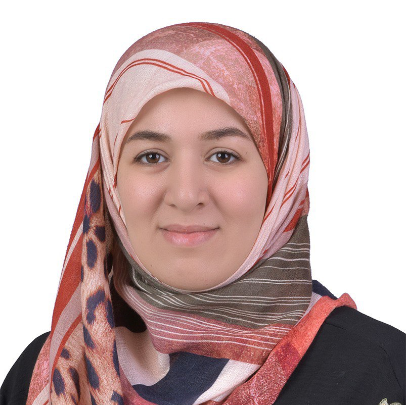 Researcher Image