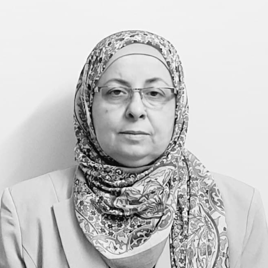 Researcher Image
