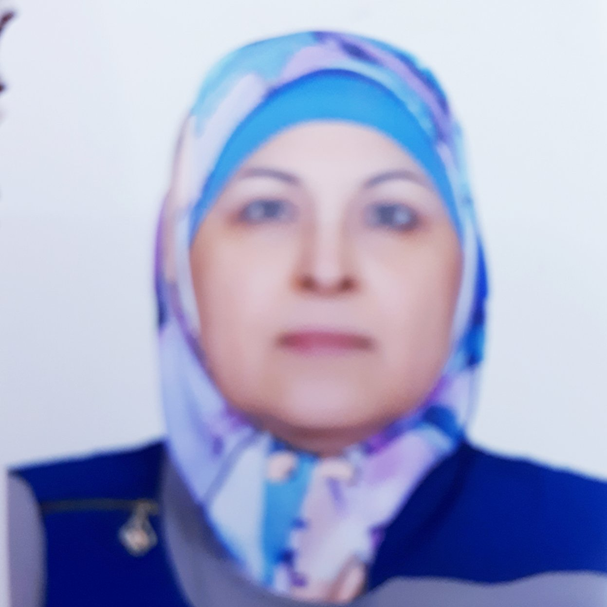 Researcher Image
