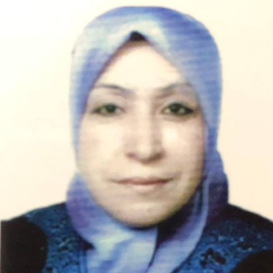 Researcher Image