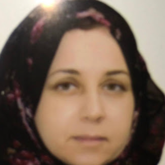 Researcher Image