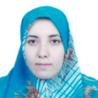 Researcher Image