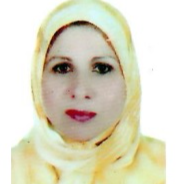Researcher Image