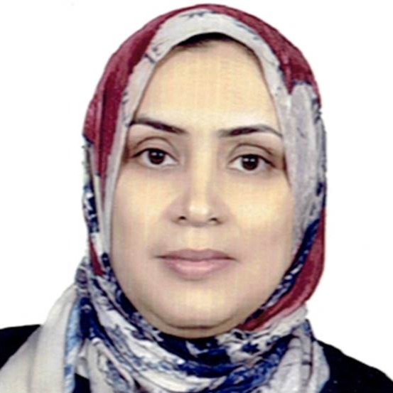 Researcher Image