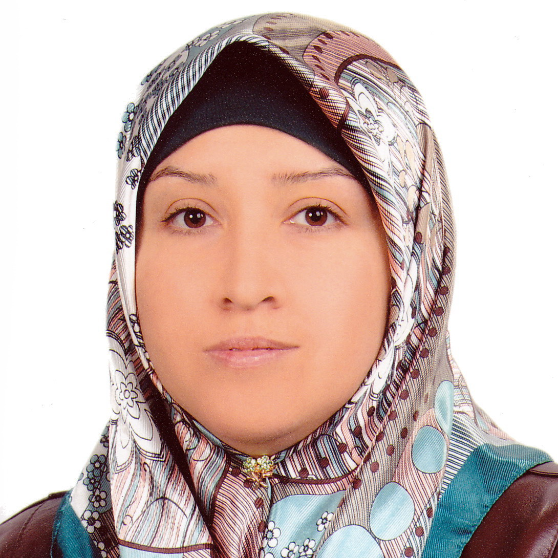 Researcher Image