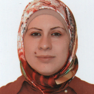 Researcher Image