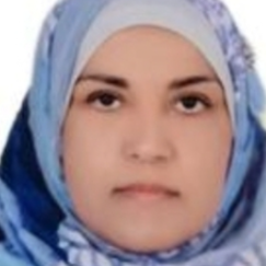 Researcher Image